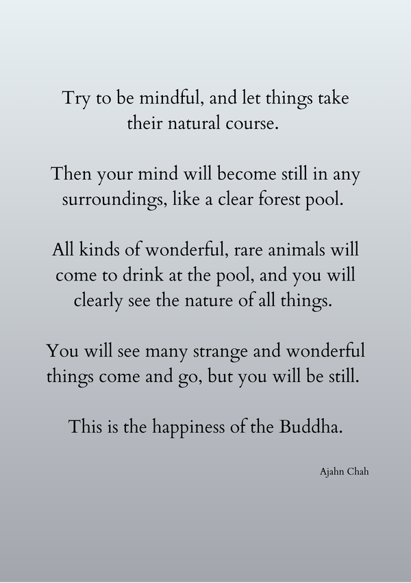 Be Mindful - Ajahn Chah